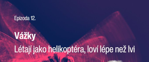 podcast2026vážkyEvaBílková