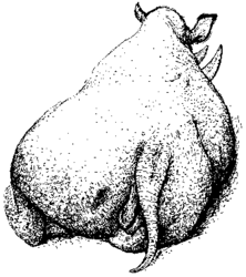 s 2003 163 18 | vesmir.cz