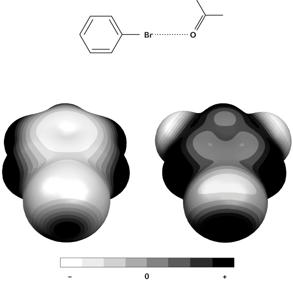 Polárny charakter väzby c-halogén