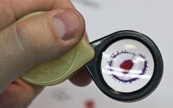 s 2015 686 04 | vesmir.cz