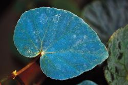 s 2016 683 05 | vesmir.cz