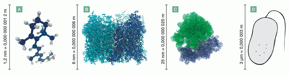 2017 076 02 | WebJET CMS