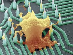 s 2017 317 03 | vesmir.cz