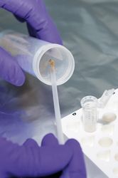 s 2017 317 02 | vesmir.cz