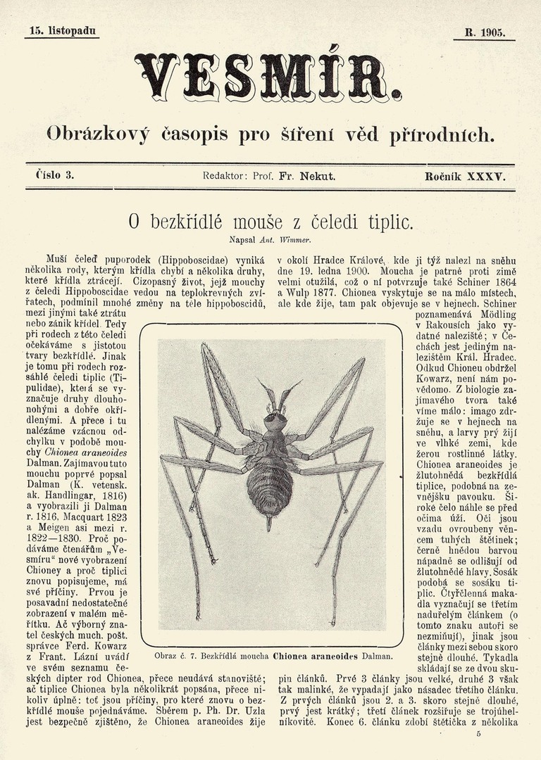 Výška padajících hvězd