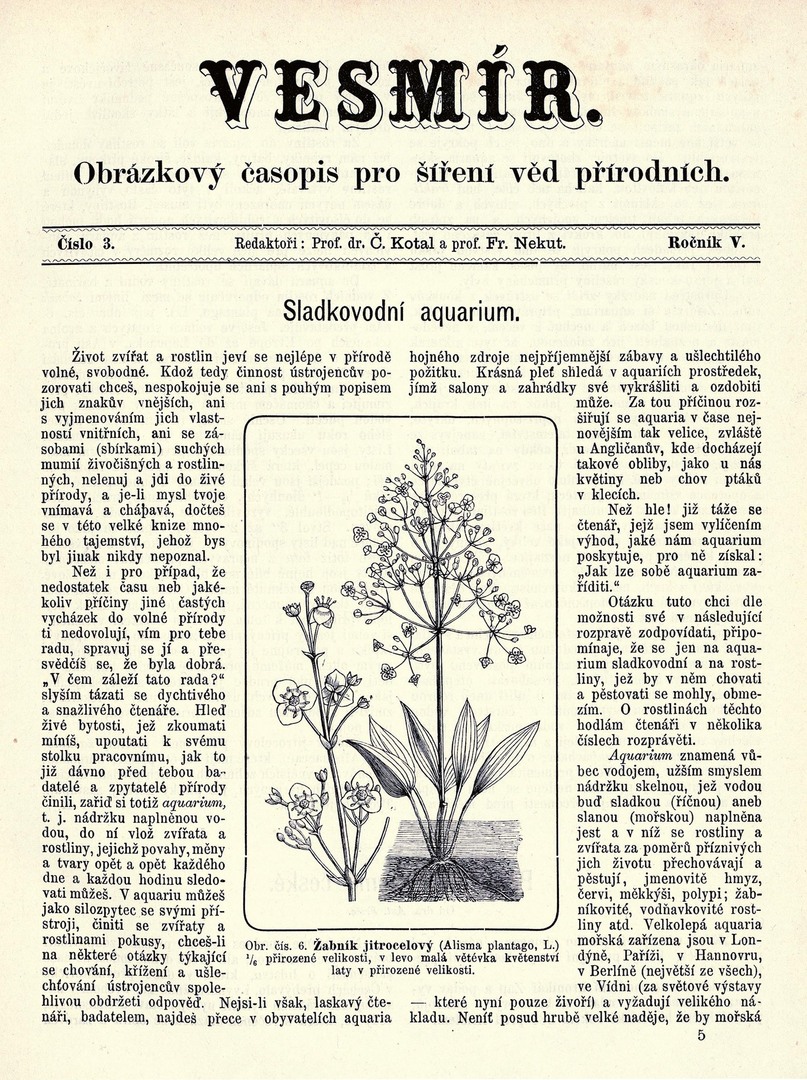 K zvířeně studní pražských