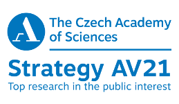 Strategy AV21 Strategy AV21