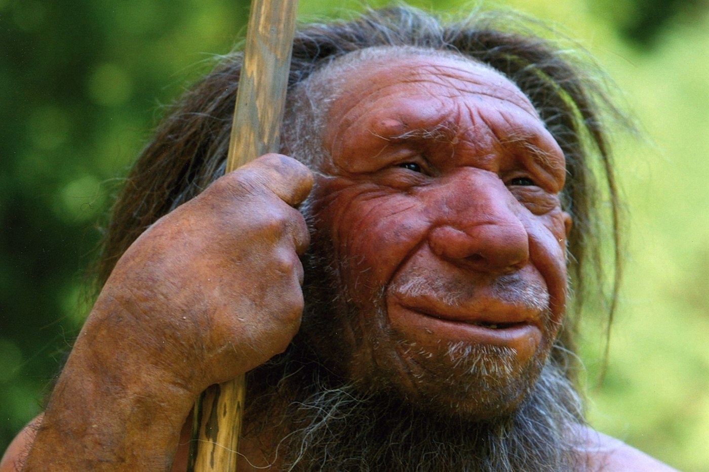 Neandertálci f