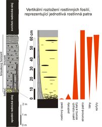 s jmc katastrofa zrodila unikat 4 | vesmir.cz