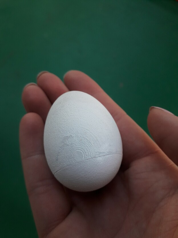 s jmc zachrana v primem 02 | vesmir.cz Chytré vejce