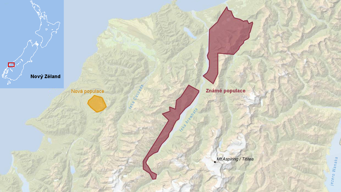 Mapa výskytu kivi jižního na Novém Zélandu